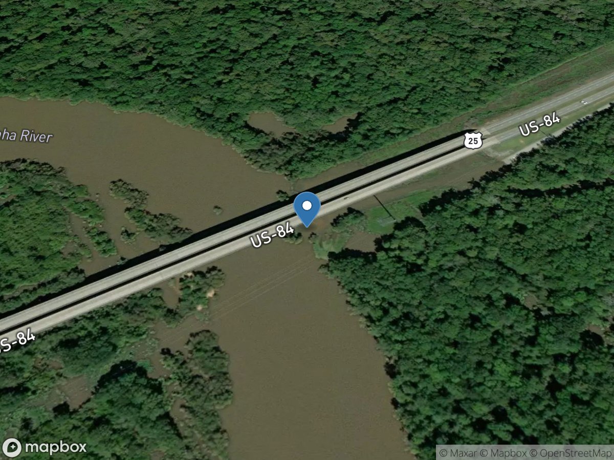 Johnston Station (US84 Bridge)