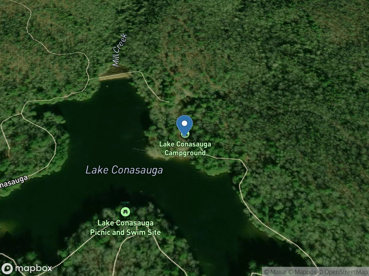 Lake Conasauga