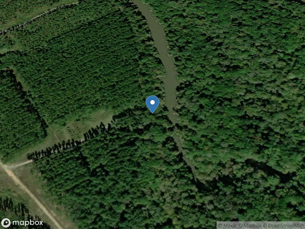 Penholloway Swamp/Cogdon Lake