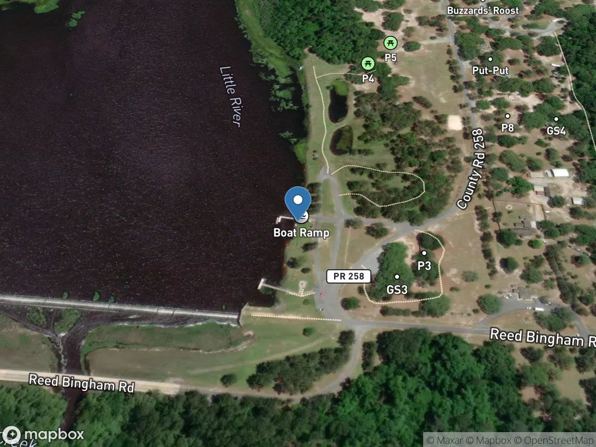 Reed Bingham State Park (East)