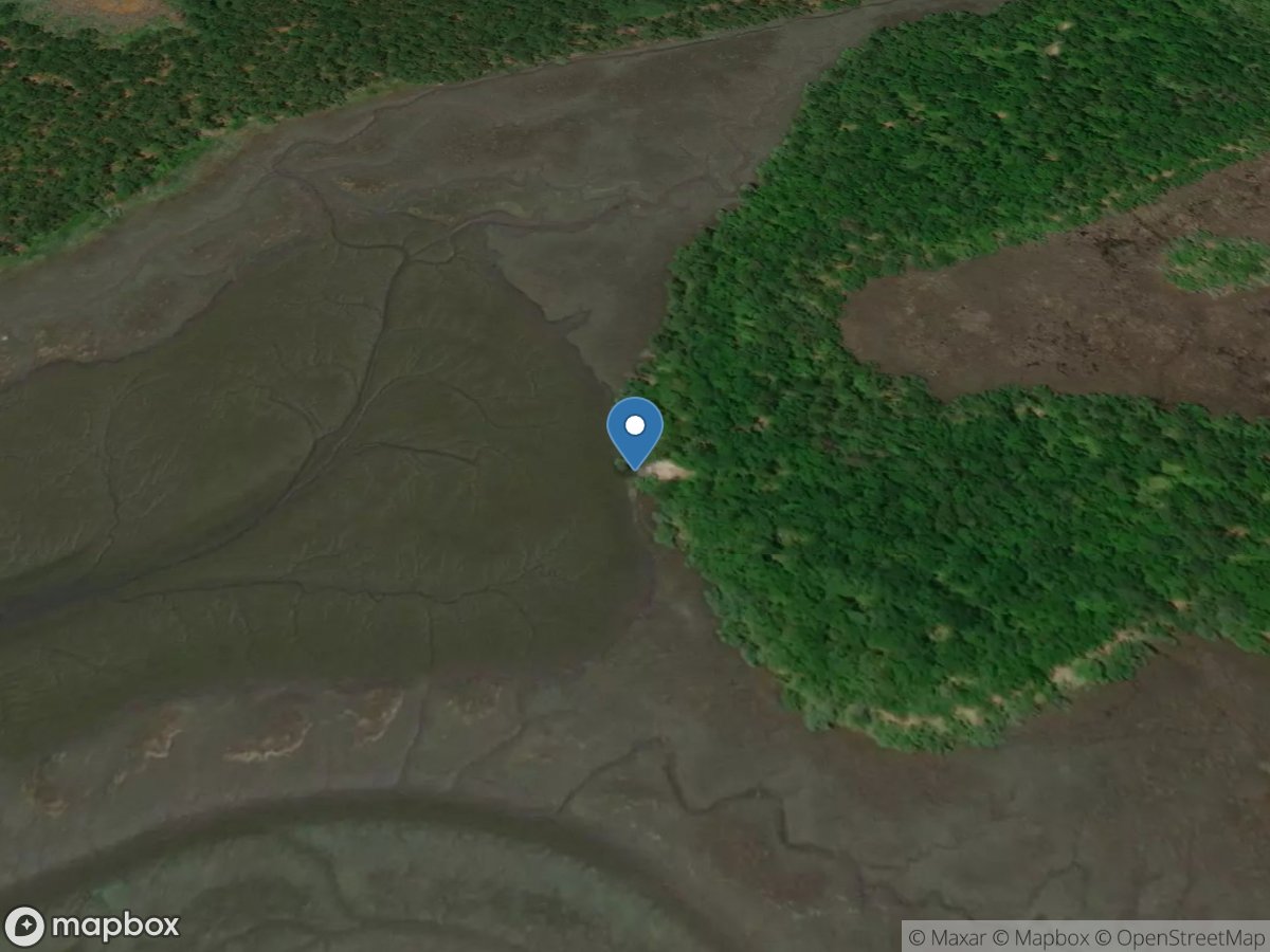 Richmond Hill Wildlife Management Area / Egypt Island