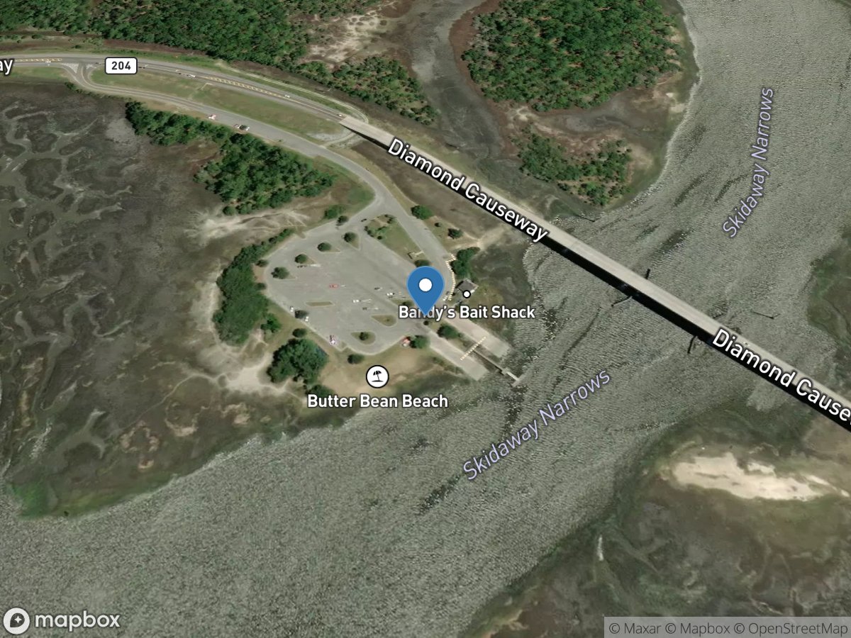 Skidaway Narrows Community Park