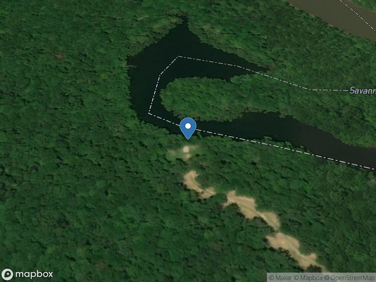 Tuckahoe Wildlife Management Area - Dicks Lookout