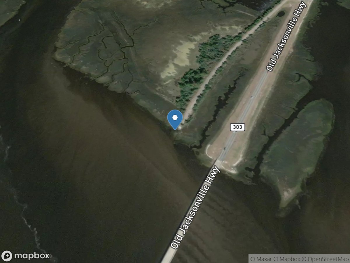 Turtle River (GA Highway 303)