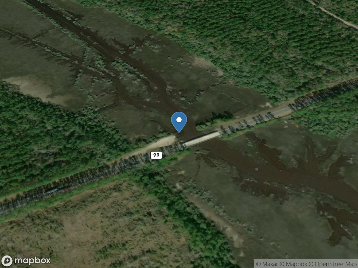 Upper Turtle River (GA HWY 99)