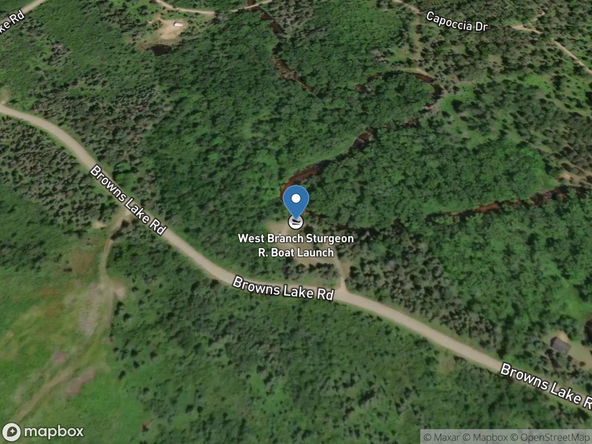 West Branch Sturgeon River