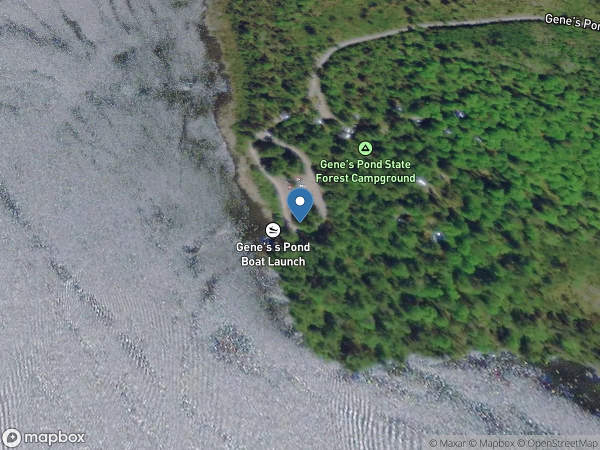 Genes Pond State Forest Campground