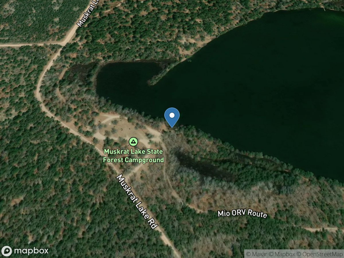 Muskrat Lake State Forest Campground