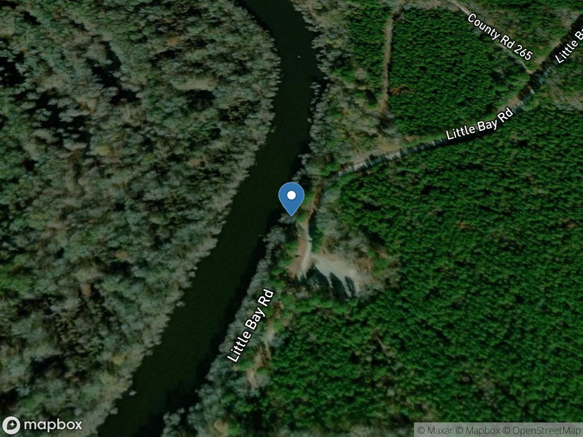 Backwater Creek - Little Bay Lake