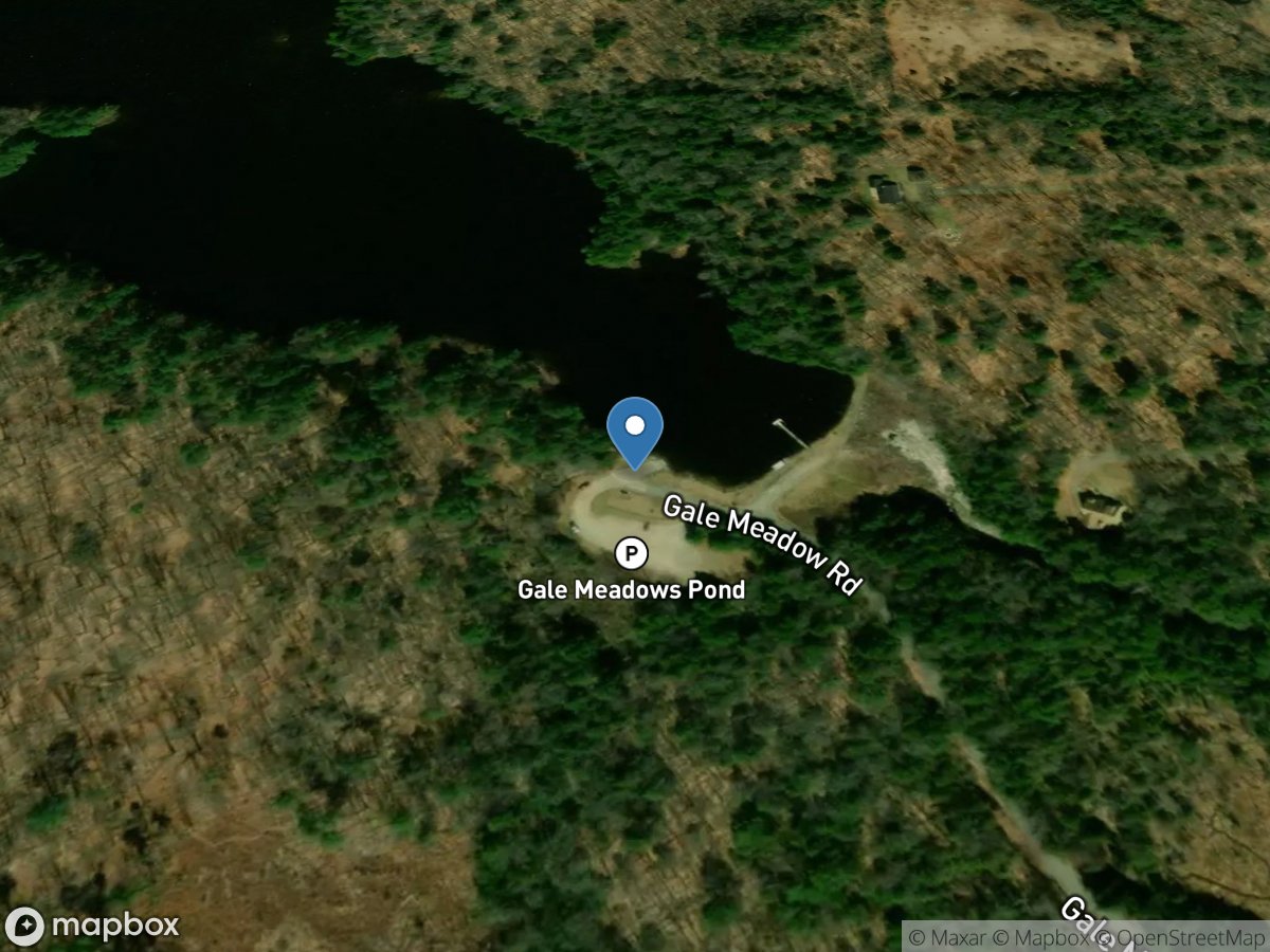 Gale Meadows Pond