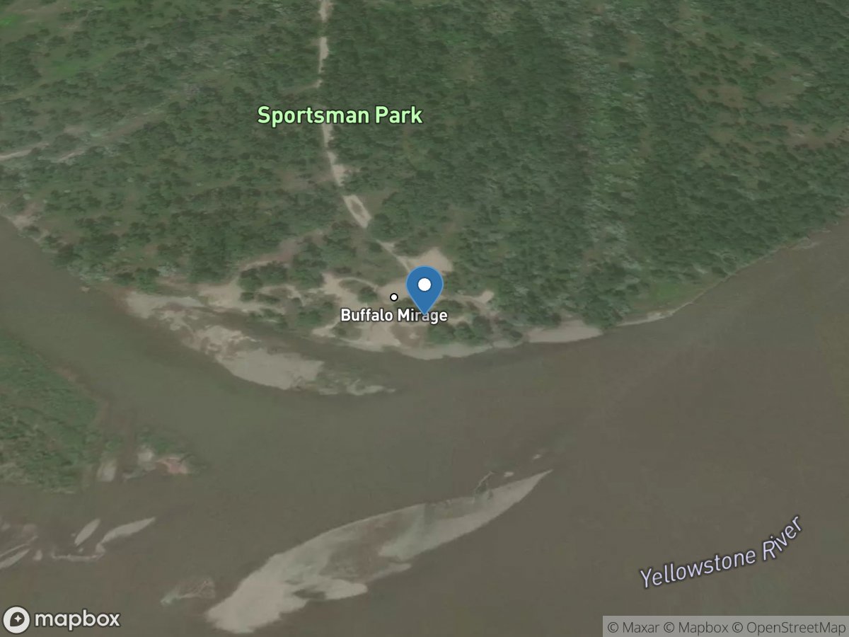 Buffalo Mirage
