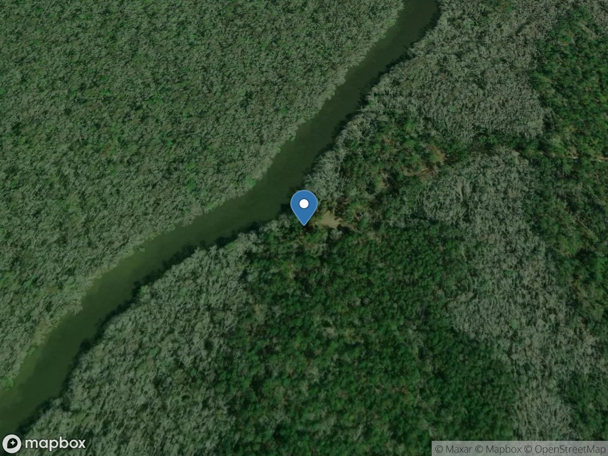 Owl Creek Primitive Access - Apalachicola National Forest