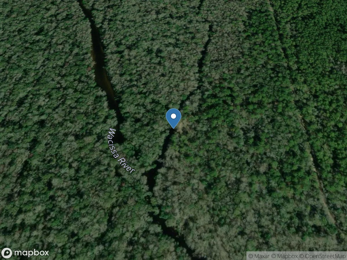 Welaunee Landing Gravel Boat Ramp - Aucilla Wildlife Management Area