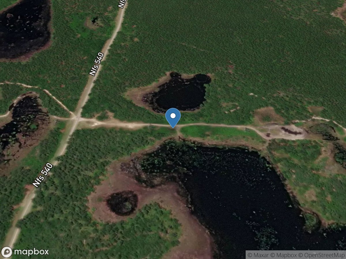 Ocala National Forest - Cowpen Pond Undeveloped Access Site