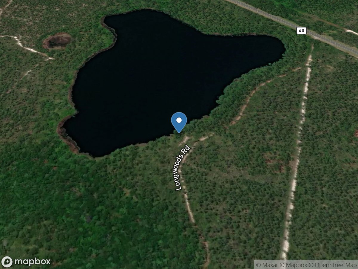 Ocala National Forest - Gobbler Lake Access