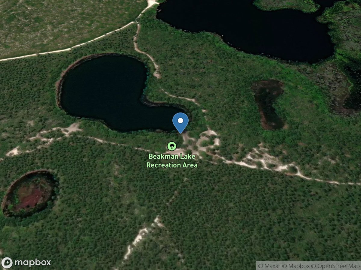 Ocala National Forest - Lawbreaker Lake Undeveloped Access East