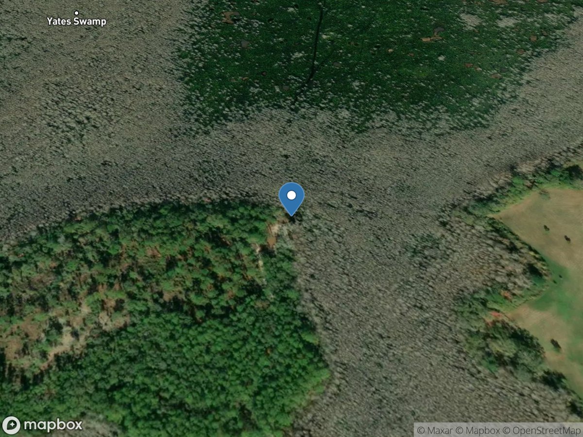 Yates Mill Pond Boat Ramp