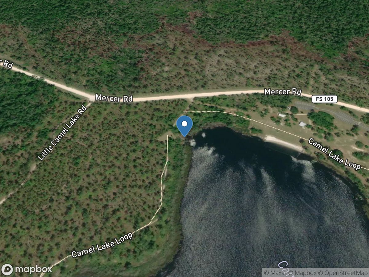 Camel Lake Recreation Area - Apalachicola National Forest