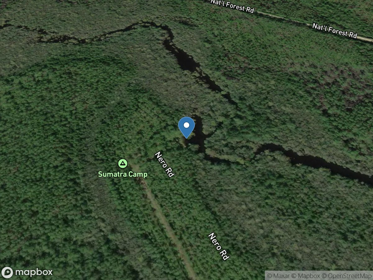 Tate's Hell State Forest - Sumatra Primitive Boat Launch