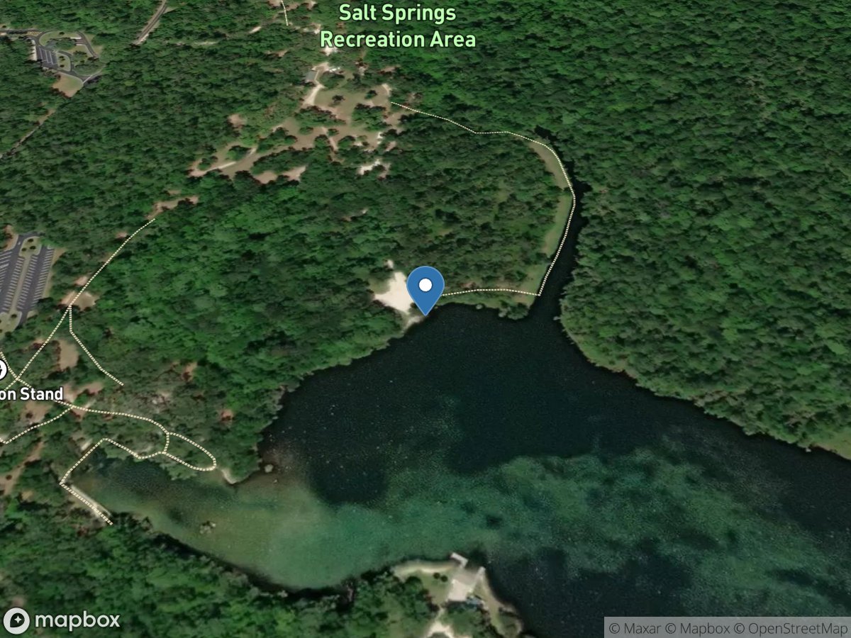 Salt Springs Recreation Area Unimproved Boat Ramp