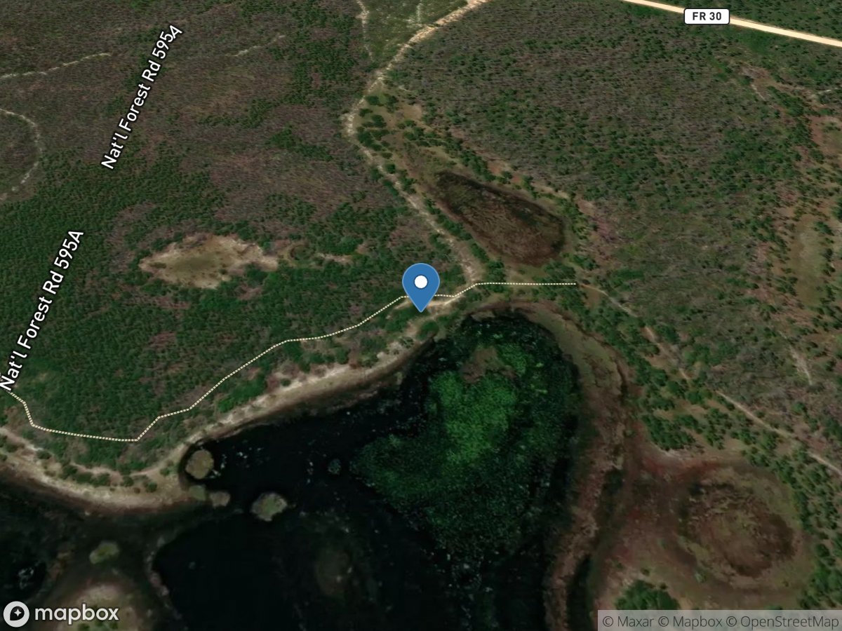 Ocala Pond Primitive Boat Ramp