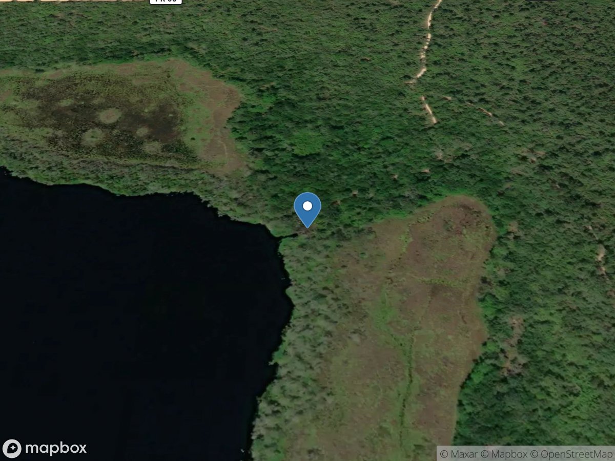 Lake Lou Unimproved Access - Ocala National Forest