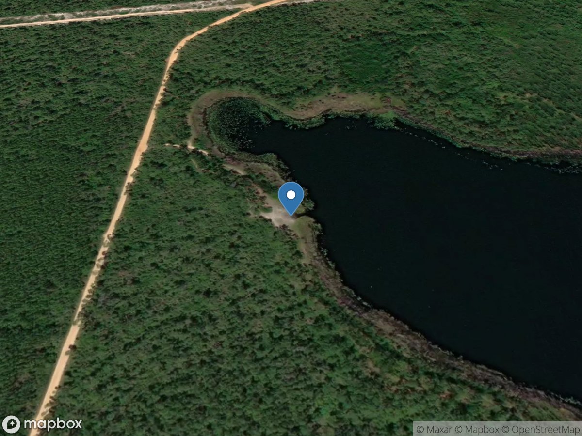 Trout Lake Primitive Boat Launch - Ocala National Forest