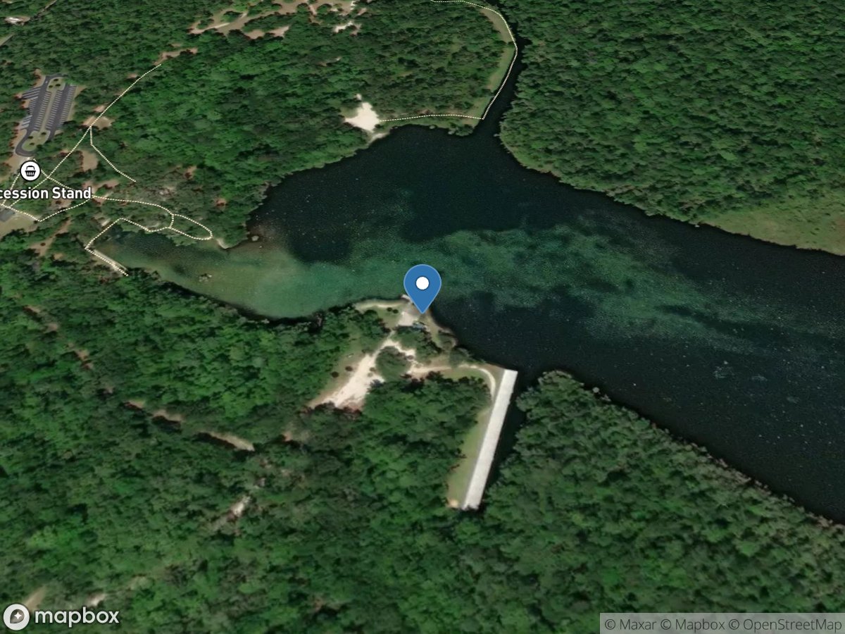 Salt Springs Run Marina and Landing