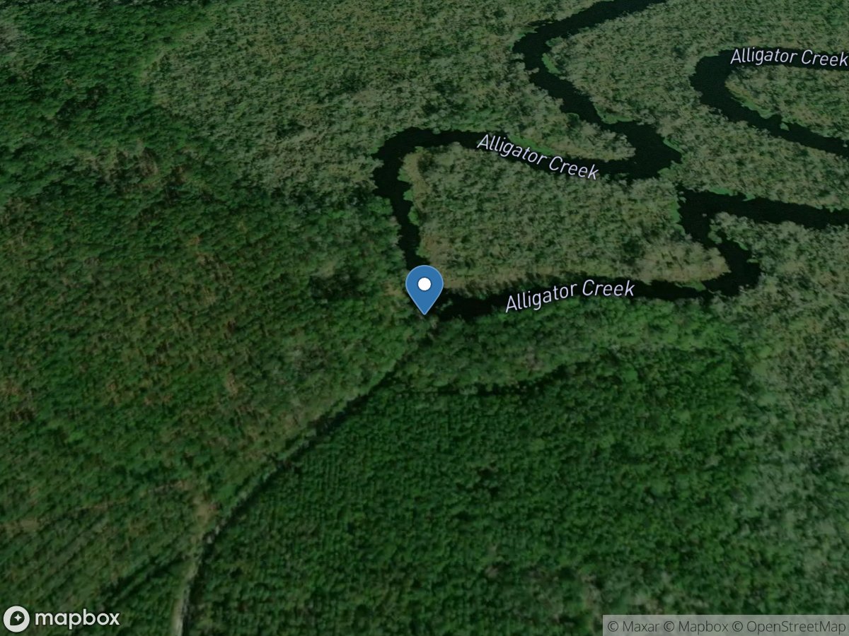 Four Creeks State Forest - Hobbs Landing