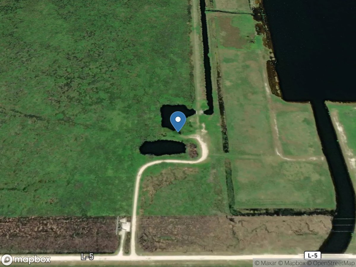 Holey Land Primitive Ramp #1