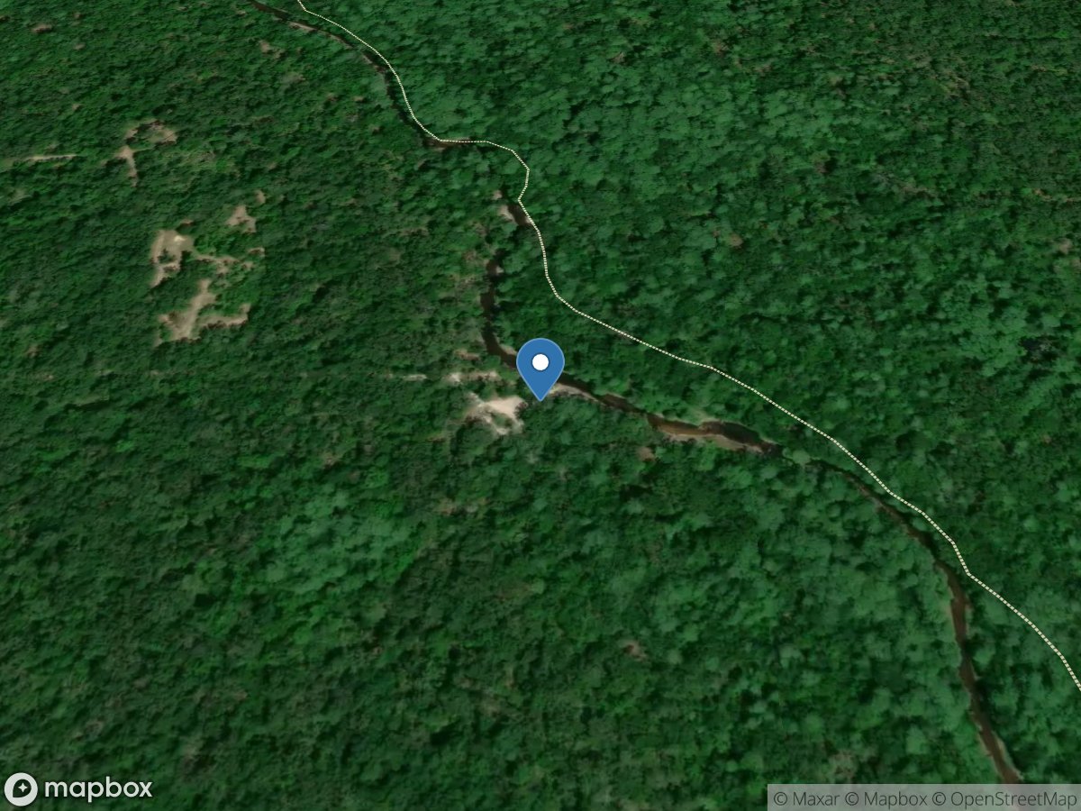 Withlacoochee State Forest - Lacoochee