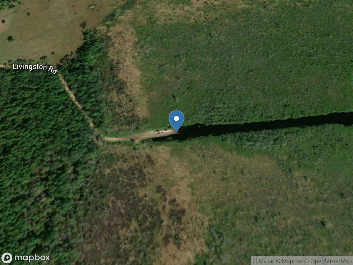 Lake Livingston Public Boat Ramp (Not Paved)