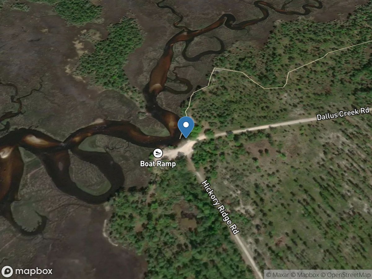 Dallus Creek - Big Bend Wildlife Management Area