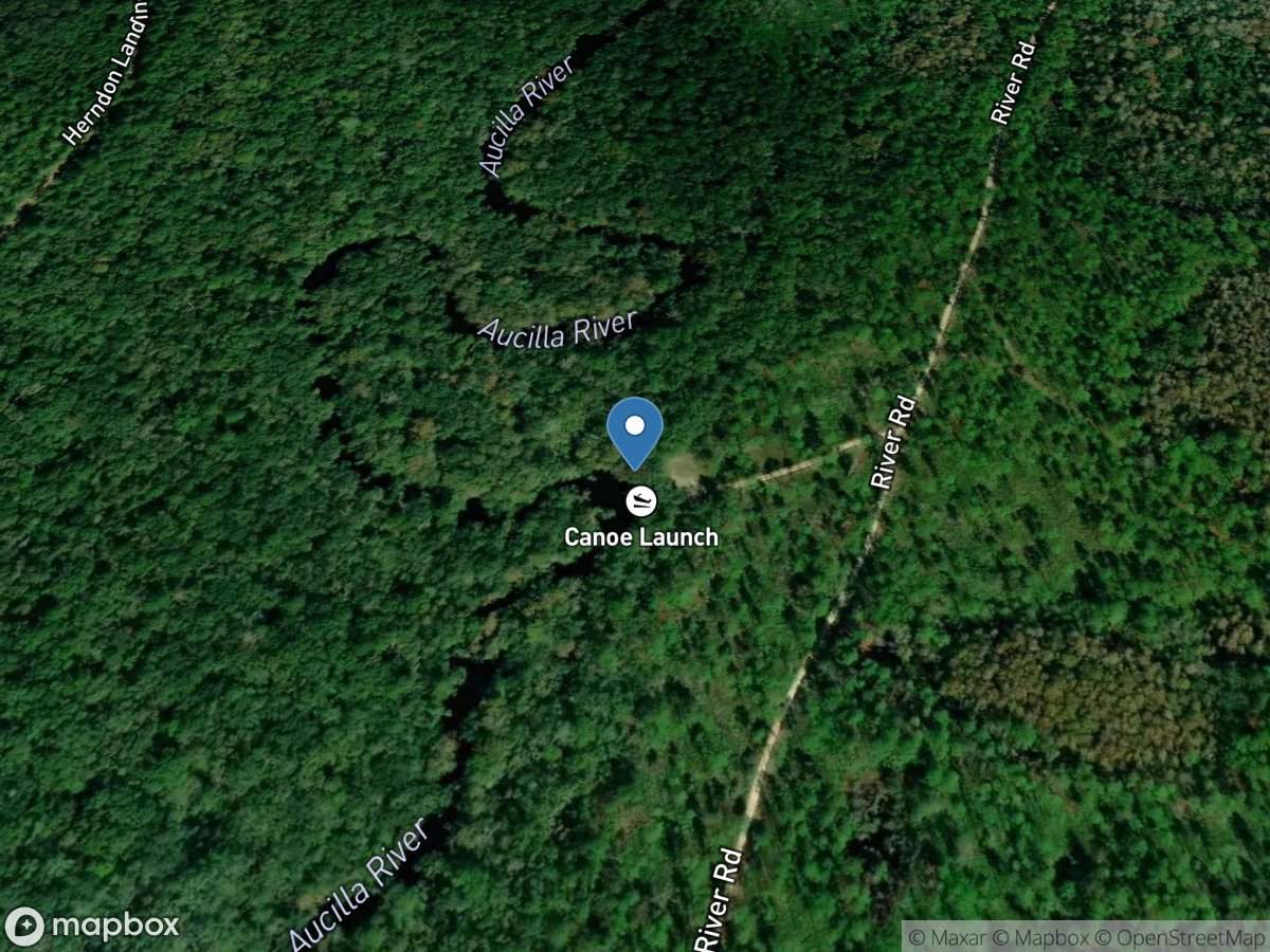 Aucilla River Mile 24.4 - Reams Landing Boat Ramp - Mt. Gilead Tract