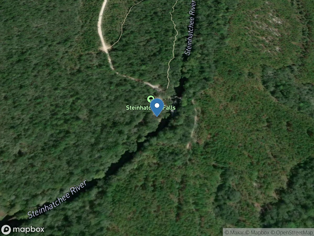 Steinhatchee Falls Boat and Canoe Launch