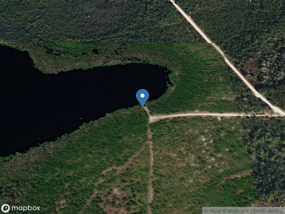 Tiger Bay State Forest