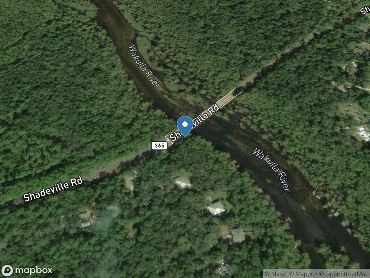 Wakulla River at County Road 365 (Upper Bridge) Primitive Boat Ramp