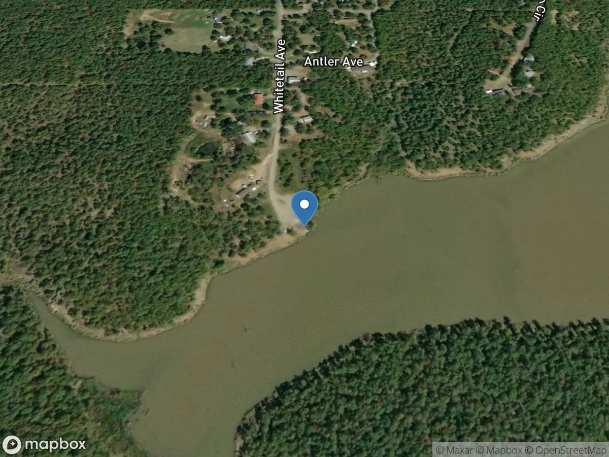 Bucks of Gaines Creek