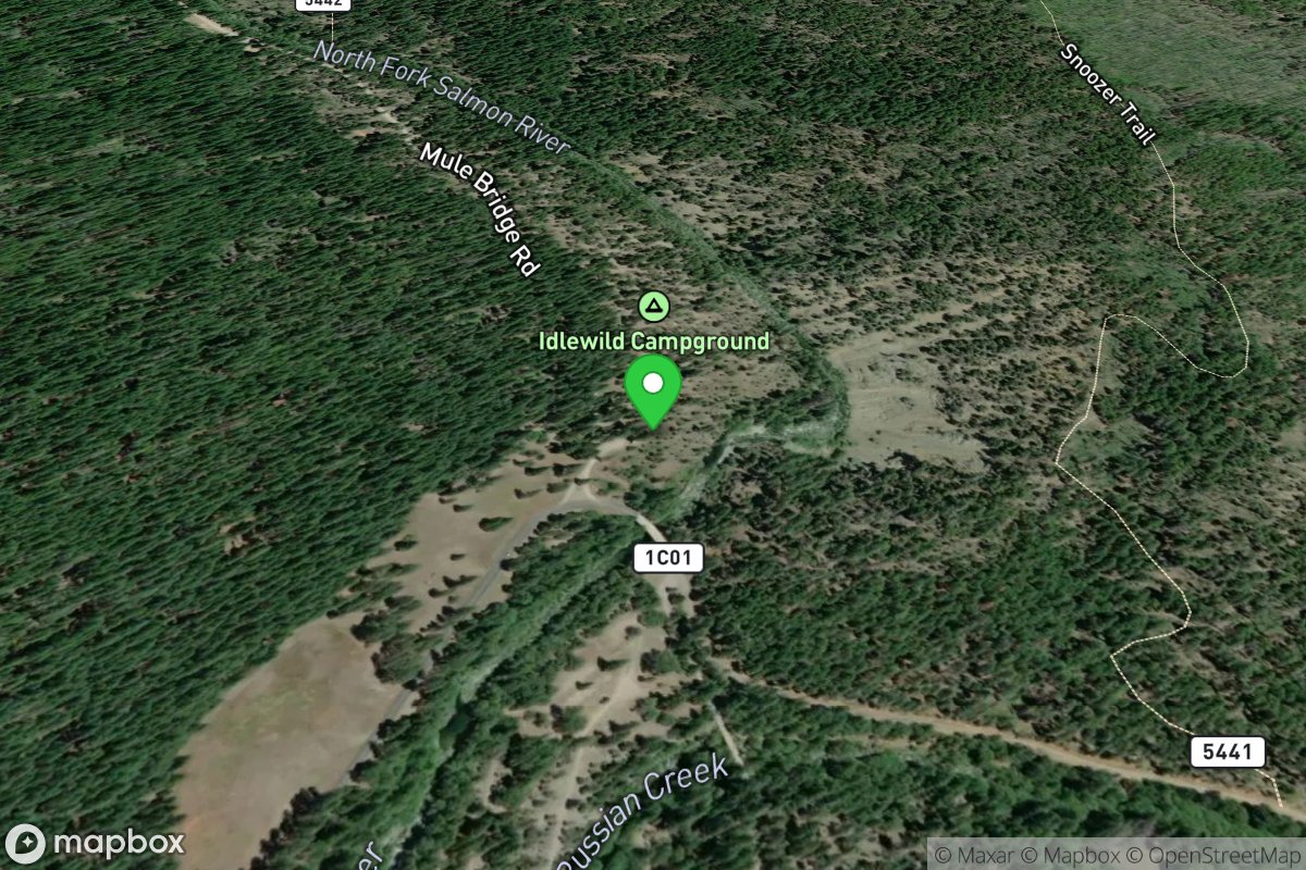 Idlewild Campground put-in