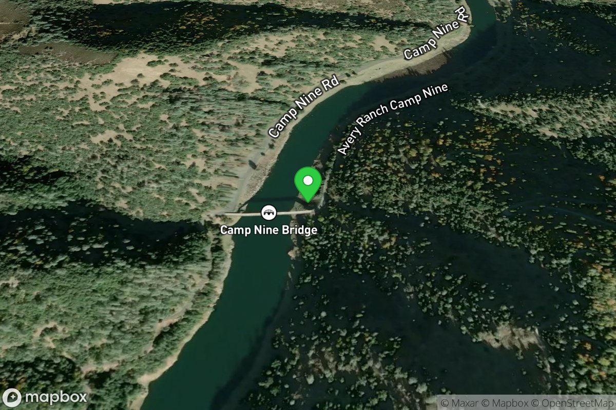 New Camp Nine Bridge