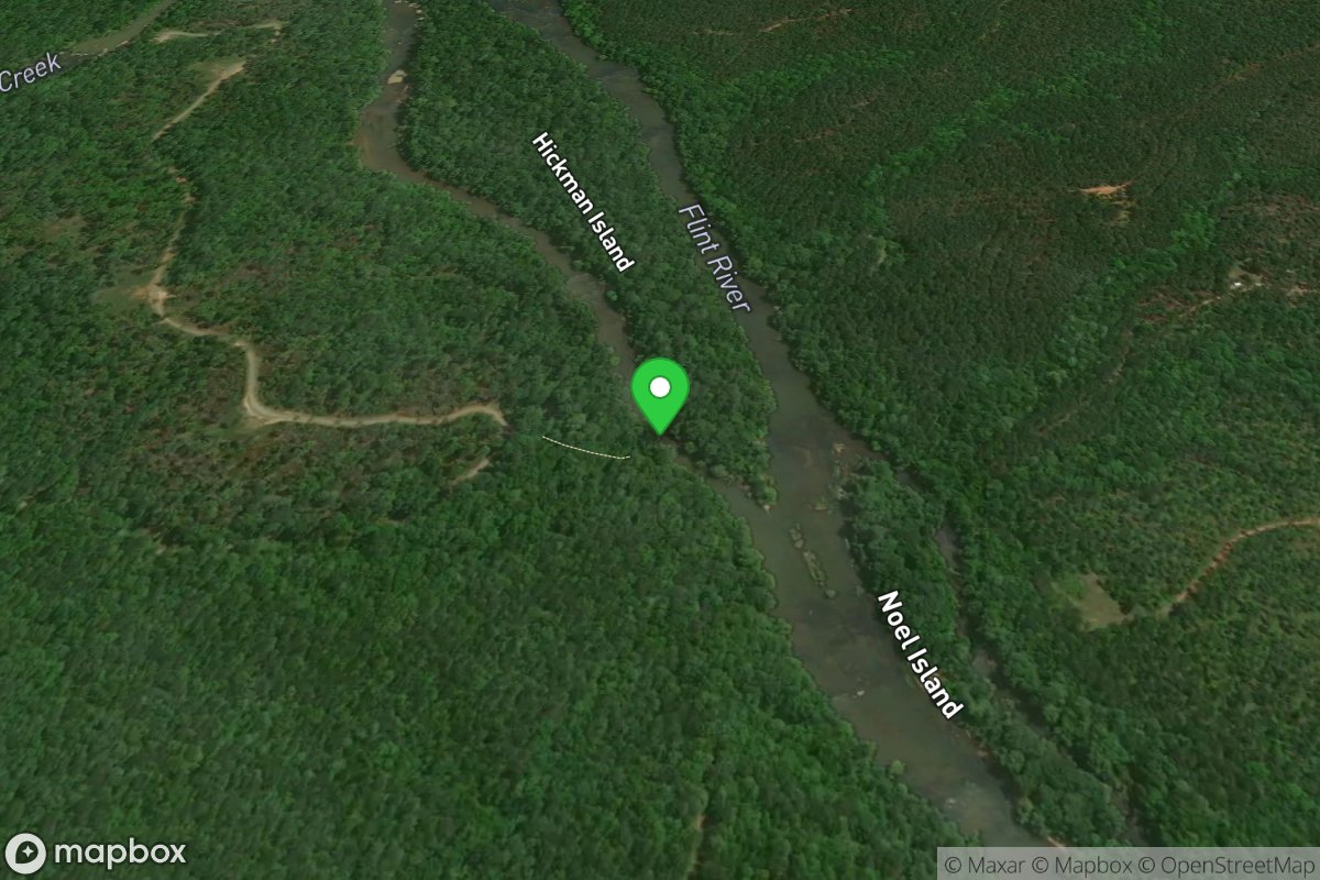 Take-out #2, on the Flint River, 0.8 miles downstream of the confluence