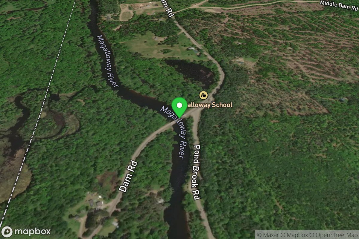 Take Out Pond Brook road