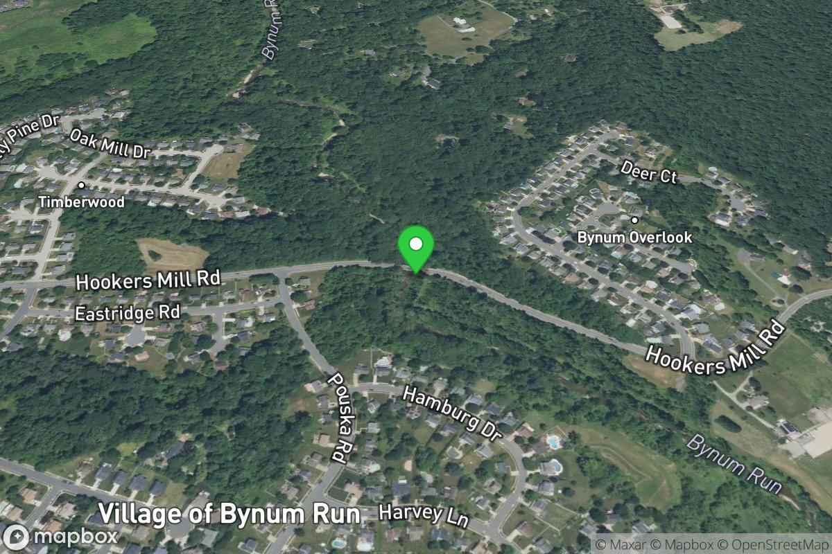 Take-out - Hookers Mill Rd.