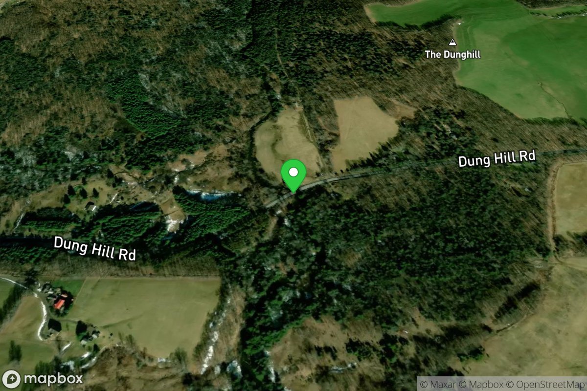 Put In - Dung Hill Rd.