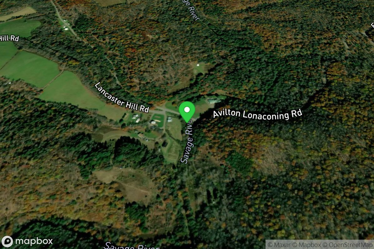 Put In - Avilton Lonaconing Road