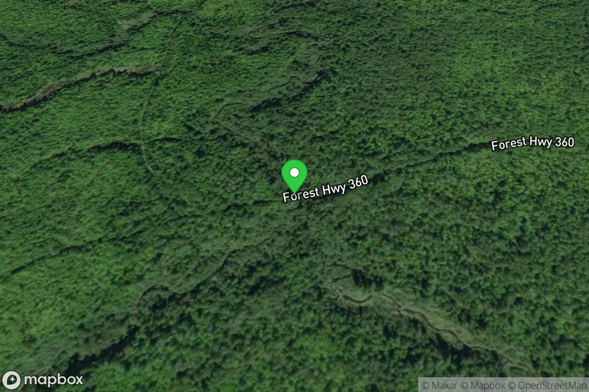 Access #1 (Uppermost Possible Putin -- S.Boundary Road/NF360)