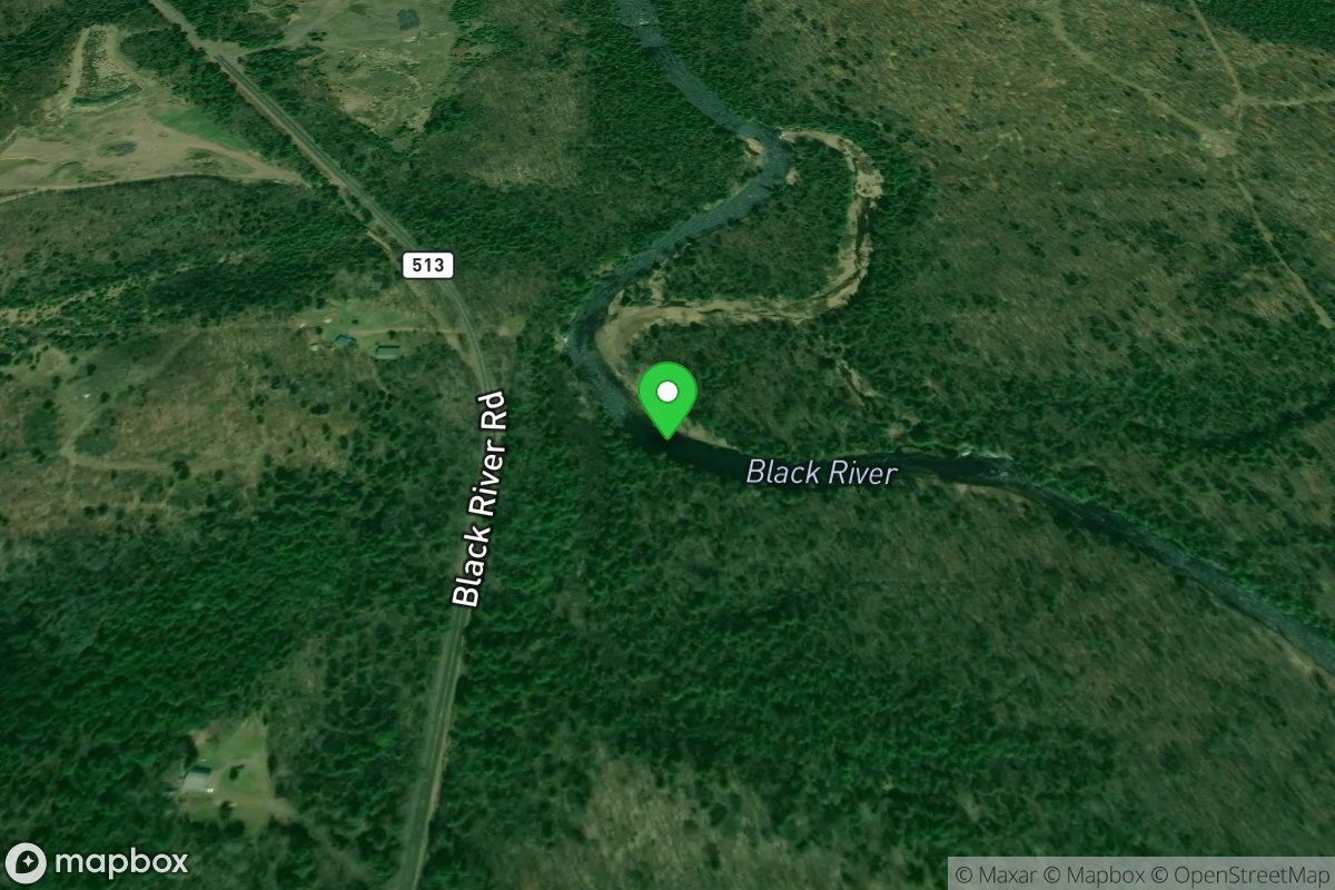 Put In: Narrows Park