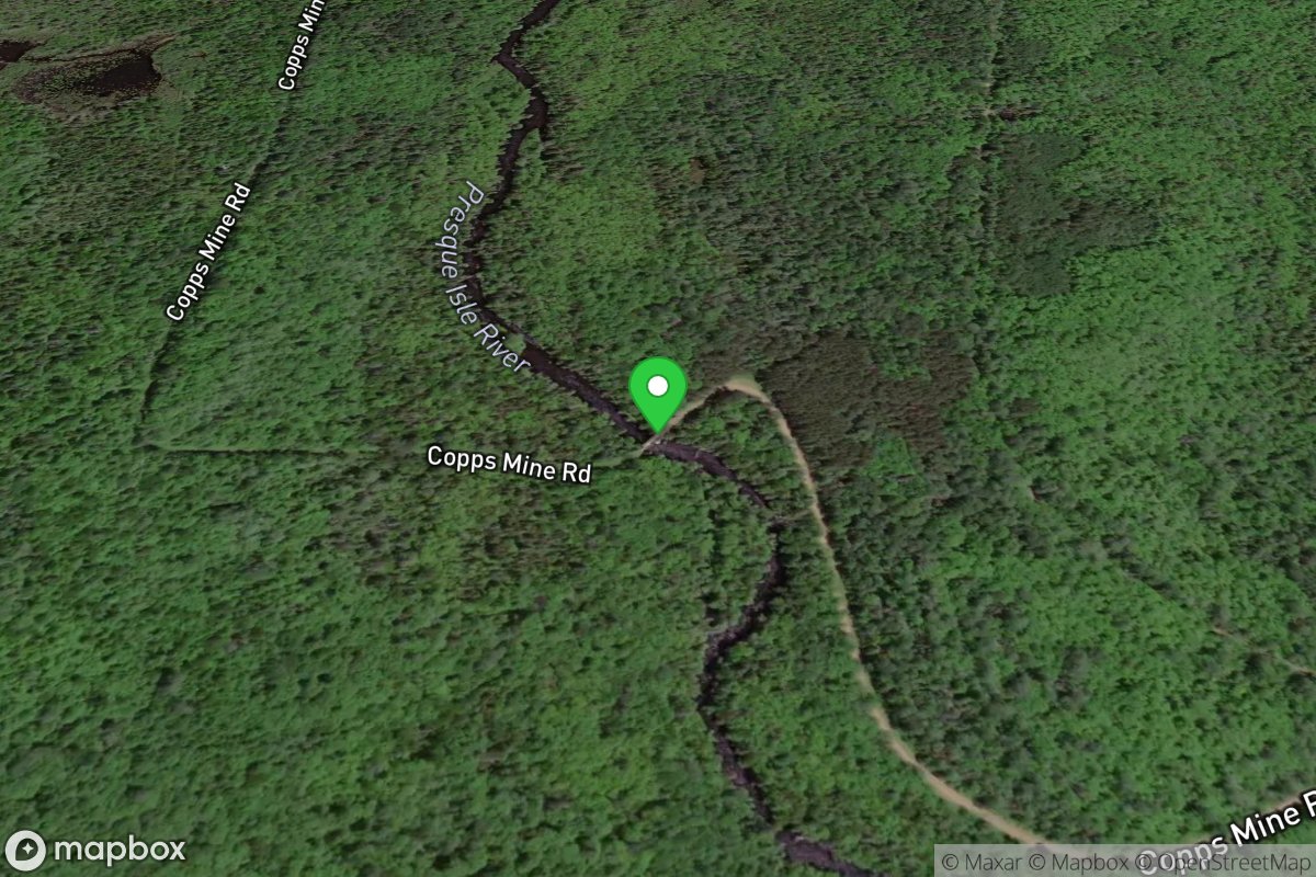 Take Out: Copps Mine Road