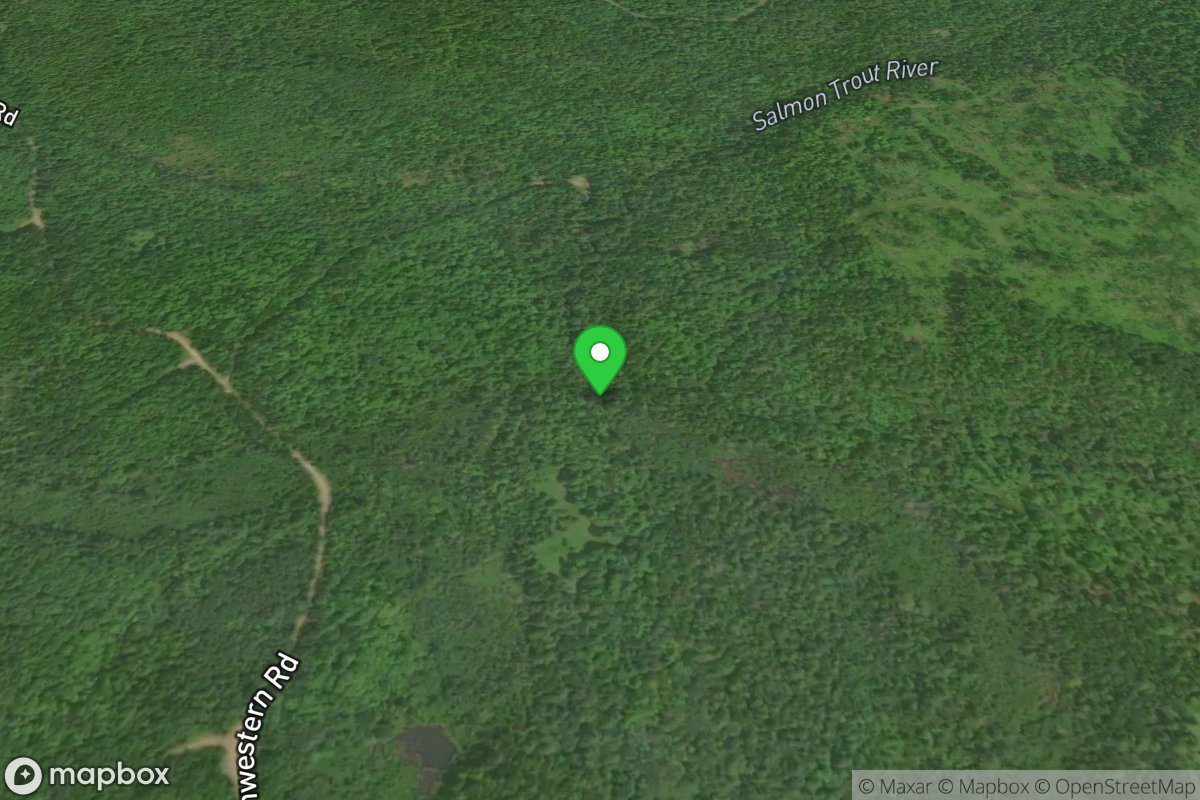 Put In: Northwestern Road at W.Br.Salmon Trout