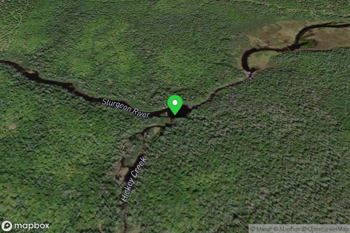 Confluence, Hinkey Creek / Sturgeon River